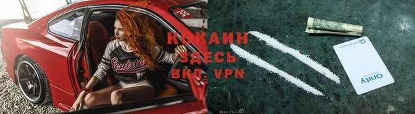 молекула духа Арсеньев