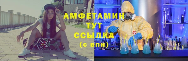 молекула духа Арсеньев
