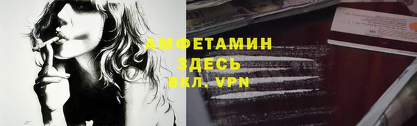 мяу мяу мука Аркадак