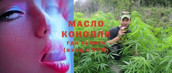 молекула духа Арсеньев