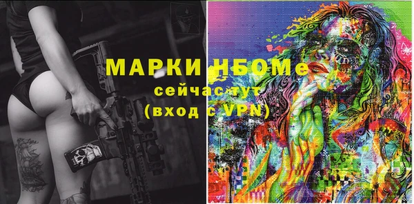 молекула духа Арсеньев